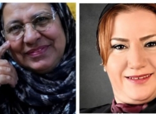 دفاع سالي الجبالي يكشف مفاجأة بالقضية