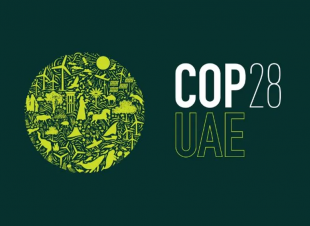 الإمارات تطلق شعار مؤتمر الأطراف 